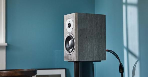 dynaudio-special-40-closeup-grey-birch-09-1