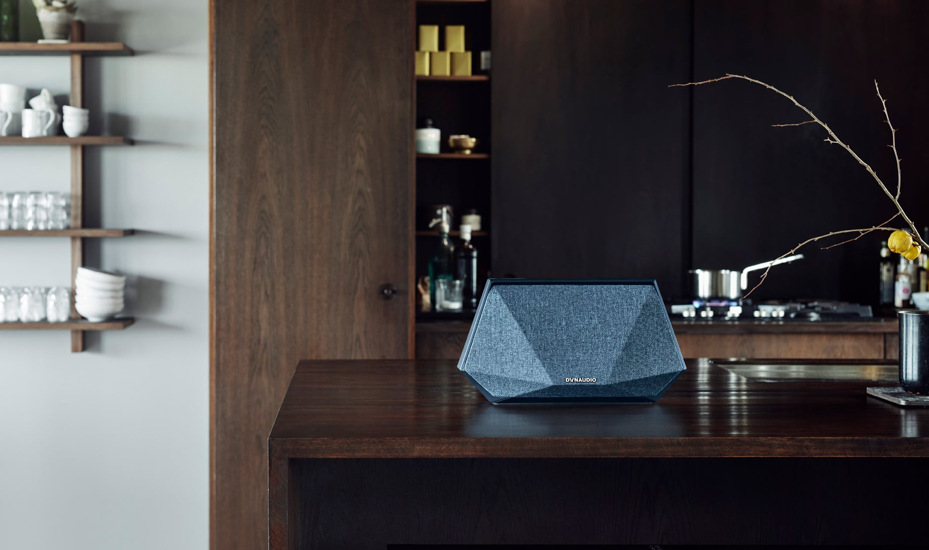 Dynaudio Music | The world's most intelligent wireless music system