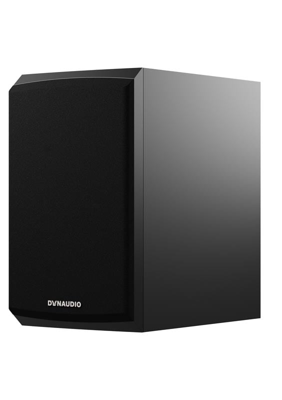 Dynaudio 10 best sale